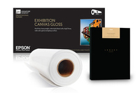 Epson S400119, Gloss, 250 g/m², Inkjet, White, 20,3 cm, 65 m