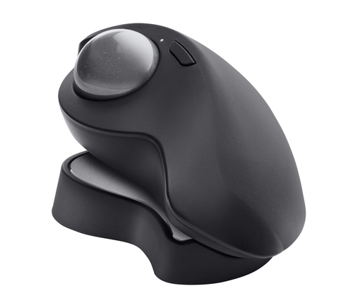 Logitech 910-005178, Right-hand, Optical, RF Wireless + Bluetooth, 2048 DPI, Graphite