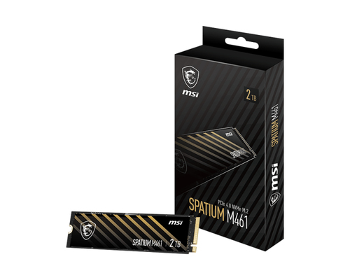 MSI SPATIUM M461, 4 TB, M.2, 5000 MB/s